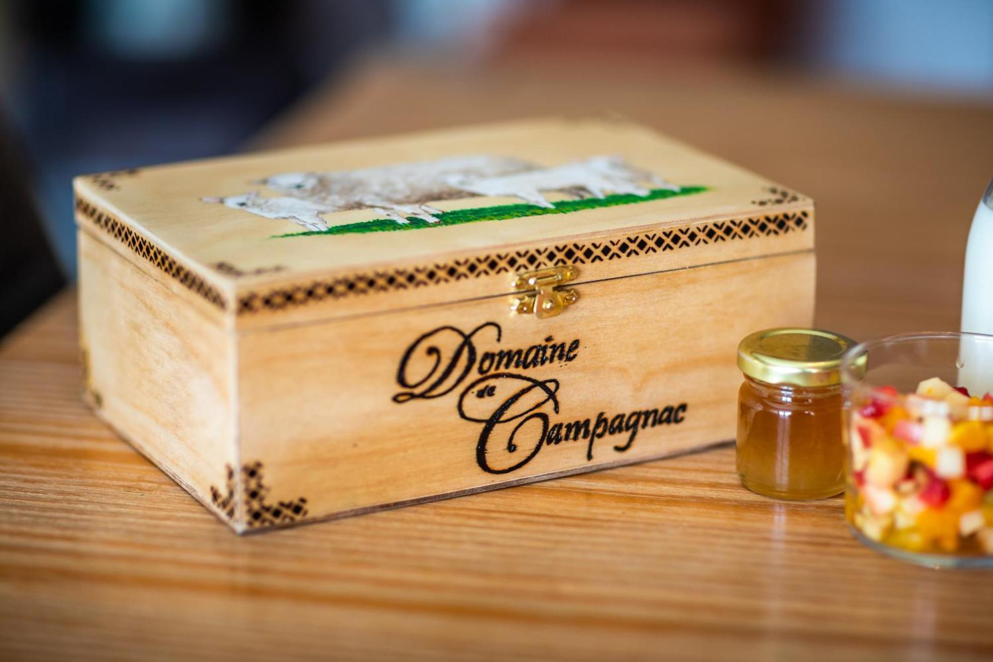 Domaine De Campagnac - Spa & Sauna Carsac-Aillac Екстериор снимка