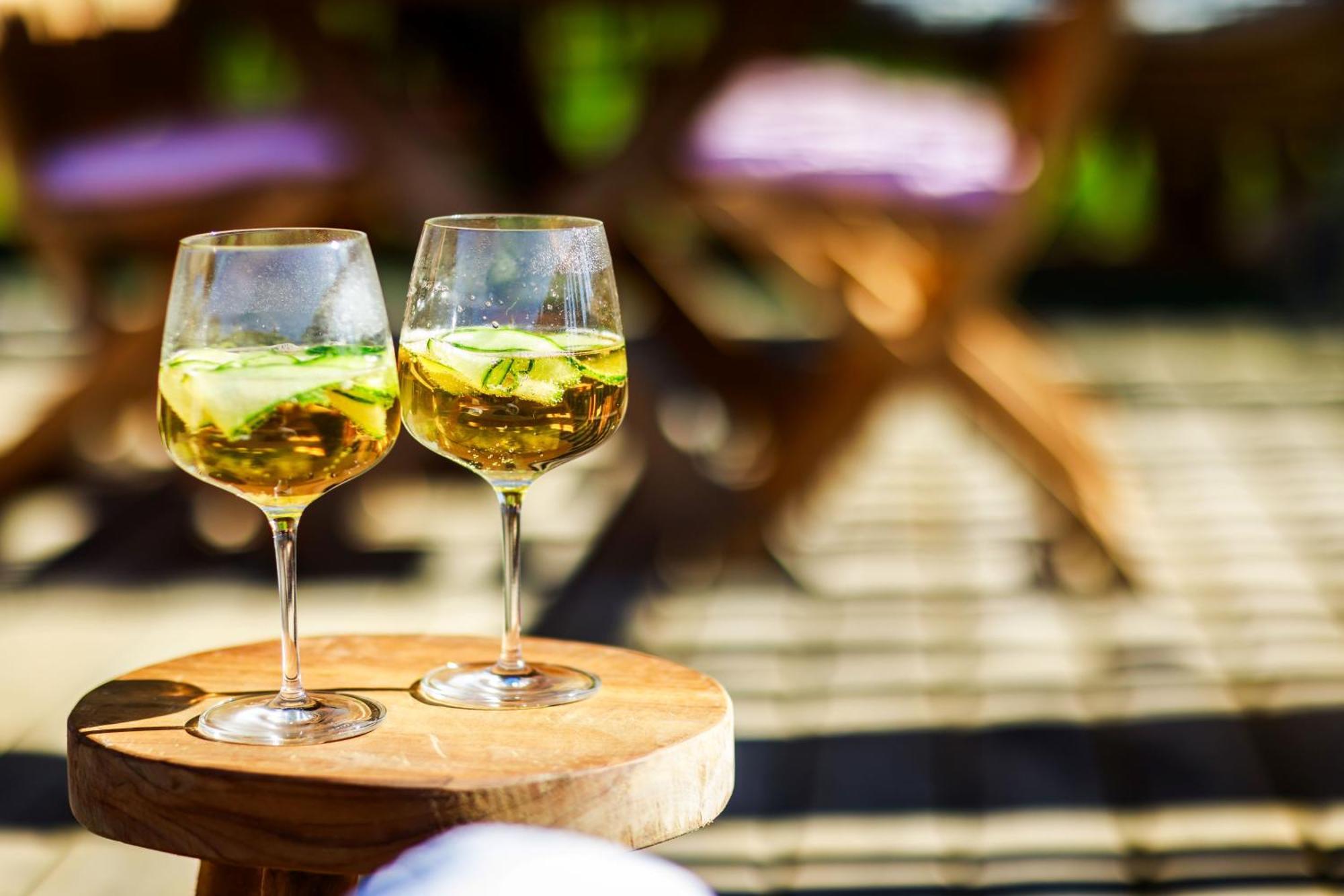 Domaine De Campagnac - Spa & Sauna Carsac-Aillac Екстериор снимка