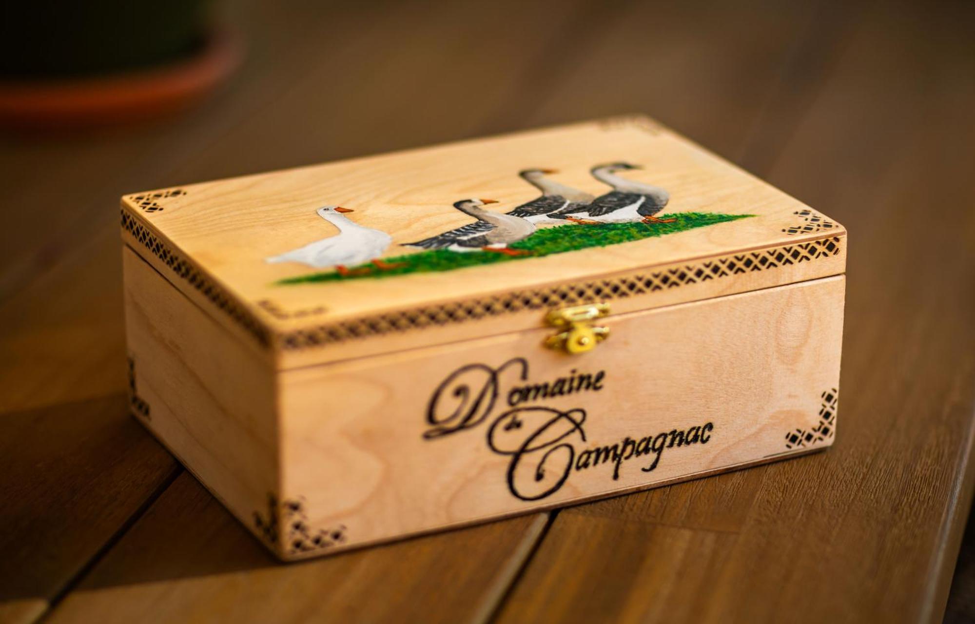 Domaine De Campagnac - Spa & Sauna Carsac-Aillac Екстериор снимка